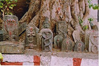 rural snake worship shrine